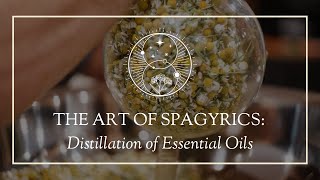 The Art of Spagyrics Distillation of essential oils [upl. by Torrance]