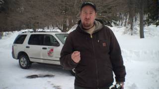 Snowshoeing at Herrington Manor State Park [upl. by Enisamoht730]