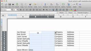 How to split columns in Excel [upl. by Hgiel]