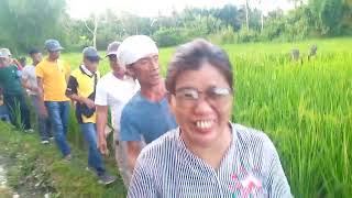 tour organic farming at hygeia integrameds centerpatin ay prosperidad agusan del sur 😍🥰 [upl. by Coy]