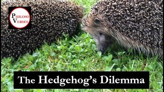 The Hedgehogs Dilemma Schopenhauer philosoverses [upl. by Tatiana]