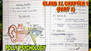 9 Sensory Attentional and Perceptual Processes PART 1 Class 11 Psychology Chapter 5 NCERT [upl. by Ellocin]