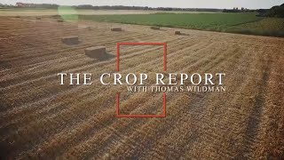 Crop Report  November 15th 2024 [upl. by Gnart]