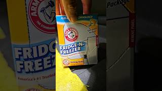 ArmHammerLaundry DeOdorizer Review FridgeNFreezer Baking SodaDay 1 [upl. by Waverley]