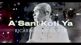 Ricardo Harderwijk  A Sani Koti Ya Official Video Clip [upl. by Arret210]