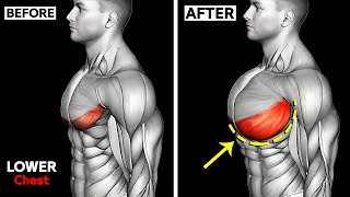 THE ONLY 10 Lower Chest Exercises You Need 🔥 [upl. by Asiled]