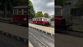 HSB  Ameisenbär macht auf der HSB eine Probefahrt  Schweineschnäuzchen in Wernigerode Westerntor [upl. by Ahsemo]