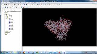 Arguslab drugdocking Drug docking study using ArgusLab software [upl. by Elwaine]