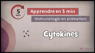 161 ◽ Introduction aux cytokines [upl. by Anelaj]