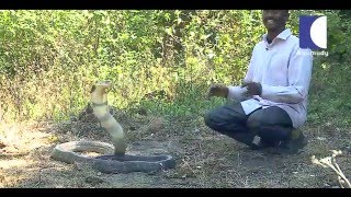 King Cobra Attack SNAKE MASTER 15032016 EP 134 Promo [upl. by Ymiaj]