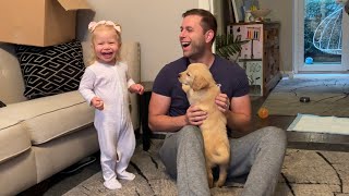 Adorable Baby Meets New Golden Retriever Puppy For The First Time CUTEST EVER [upl. by Aerdnahs]