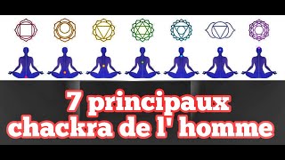 Voici une Leçon Approfondie sur Les 7 Principaux Chackra  Mini Cours  G S [upl. by Llebiram]