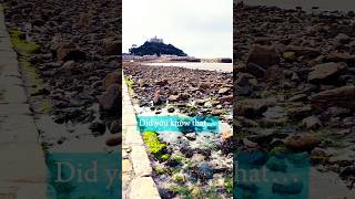 Did you know this about Saint Michaels Mount shorts [upl. by Auqinu]