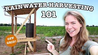 RAINWATER COLLECTION FOR BEGINNERS  16 Things To Know About Harvesting Rain Water BEFORE You Start [upl. by Shane]