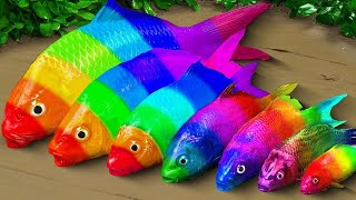 Stop Motion 무지개 잉어 Mukbang ASMR 다채로운 계란  다채로운 잉어물고기 진흙 구덩이 속의 장어  Rainbow Carp Creative Cooking [upl. by Bushweller384]