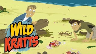 Wild Kratts  Natures Wonders  Kids Videos [upl. by Curry35]