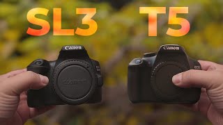 Canon 250D vs Rebel T5 Still Good in 2023 [upl. by Cazzie]