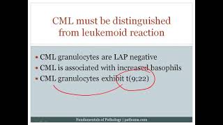 Myeloproliferative disorder chap 6 part 4 pathoma [upl. by Ebarta]