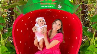 Baby Alice feeding animals at the farm with Chris [upl. by Thornie637]