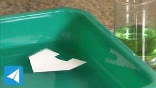 Surface Tension moves a boat  Liquids  Physics [upl. by Appledorf]