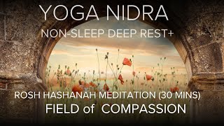 41 Yoga Nidra for Rosh Hashanah Field of Compassion 30 mins [upl. by Swamy168]