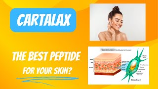 The BEST PEPTIDE for YOUR SKIN [upl. by Nalyak]