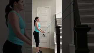 Straight Arm Pulldown exercise with resistance band [upl. by Eznyl]