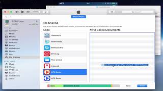 MP3 Audiobook Player  How to add a book via iTunes [upl. by Bonne731]