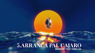 MDMONEY  Arranca Pal Carajo FT yunglea Visualizer  TODO PASA POR ALGO [upl. by Streeto]