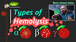 Types of Hemolysis by Bacteria  Alpha Beta and Gamma Hemolysis Detection  Basic Science Series [upl. by Auqkinahs490]