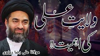 Wilayat E Ali as Ki Ahmiyat  Maulana Ali Raza Rizvi [upl. by Lisab]