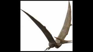 Sonidos reales de Pterodáctilo  Pterodactyl Sounds [upl. by Ahsenauj]