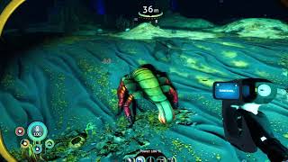 Subnautica Below Zero RePlay P12 Vents and Chelicerate [upl. by Nahttam347]