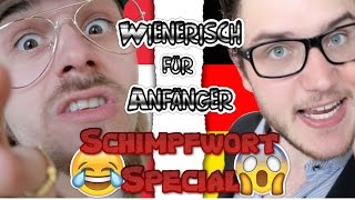 WIENERISCH FÜR ANFÄNGER  SCHIMPFEN  DEUTSCHLAND vs ÖSTERREICH  österreichischer Dialekt [upl. by Keegan]