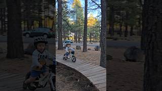 Cruising the wood features at the bike park mtb toddlers shorts [upl. by Annovoj495]