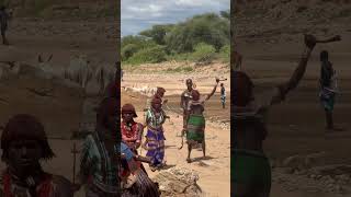 Hamer tribe whipping Ceremony shorts ethiopia omovalley omoregiontours omoriver shortvideo [upl. by Siari]