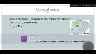 Cytoplasm Structure Composition and Function Lecture2 Part3 Biological World🐛🍀 [upl. by Zenda]