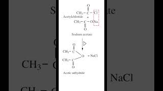 Preparation of Acetic anhydride  Acetyl Chloride  Sodium Acetate  organicchemistry  neet2023 [upl. by Kacie]