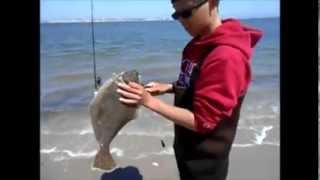 Stripers Blues Fluke Fishing  Atlantic CityBrigantine NJ 5413 [upl. by Talmud]