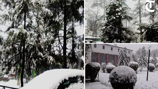 Kasauli Solan Barog Dagshai get season’s first snow [upl. by Innis]