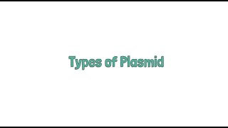 Different Types of Plasmid [upl. by Nomrah379]