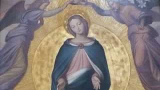 Regina Coeli laetare alleluia [upl. by Charity]