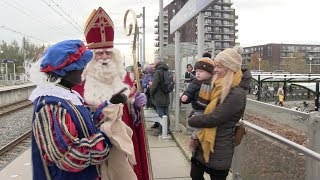 Intocht Sinterklaas Pijnacker [upl. by Brier453]