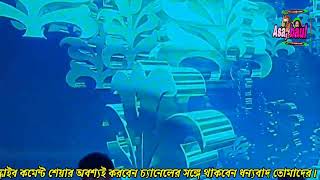 যমুনা নীল যমুনা  Jamuna nil jomuna  Kaushik adhikari  কৌশিক অধিকারী folk song  2024 [upl. by Moht]