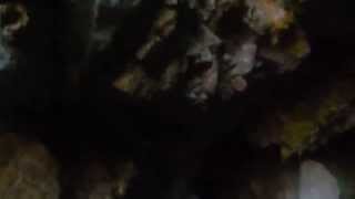 Volcano California Masonic Caves  Part 2 quotInto The Depthsquot [upl. by Quenby]