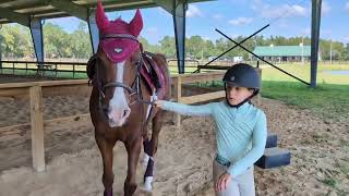 Margots Pony Club Riding with Harriet amp Arrogon Canters 100624 😊🐎 [upl. by Nylteak246]