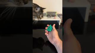 3D Printed Fidget Clicker [upl. by Alitha]