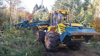 Zwischen Blankenheim und Gerolstein  Vulkaneifel Herbst 2024  Holzvollernter  Baumfällmaschine [upl. by Aylat]