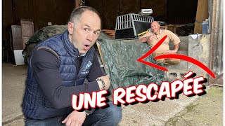 Une voiture rescapée du confinement😱 dans un état irréprochable 🤩 [upl. by Nauhs]