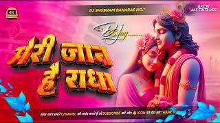 meri jaan hai radha dj song hard bass mix janmashtami song 2024 are re meri FullHD [upl. by Ahseinad]